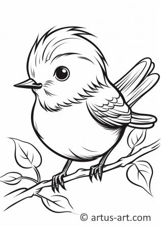 Awesome Warbler Coloring Page