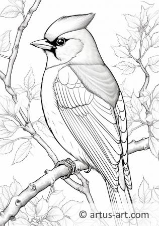 Waxwing Coloring Page For Kids