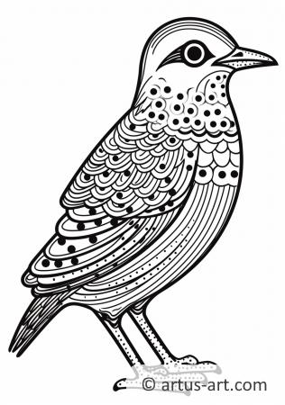 Woodcock Coloring Page