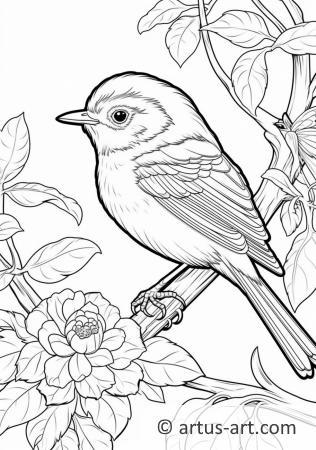 Wren Coloring Page For Kids