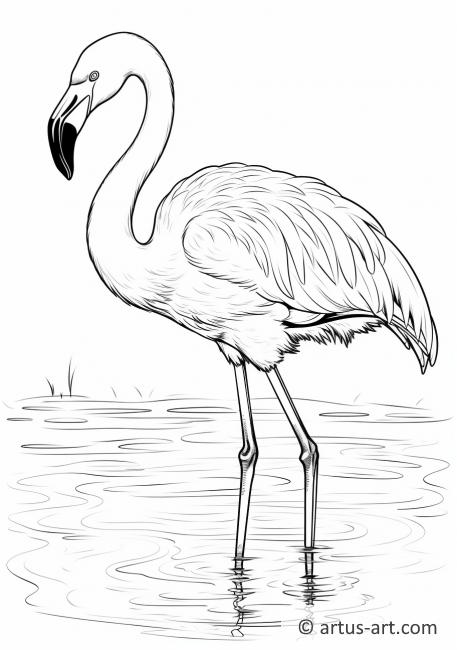 Flamingo vedessä Värityskuva