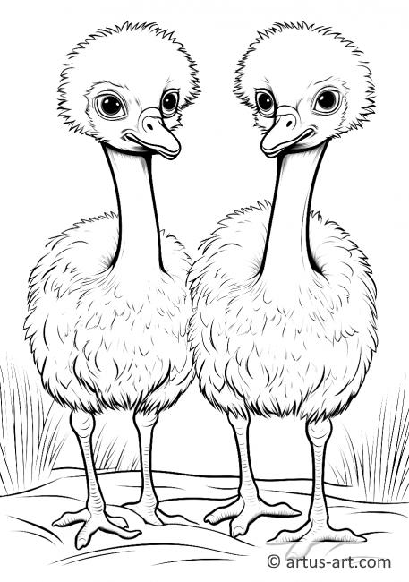 Ostrich Chicks Coloring Page