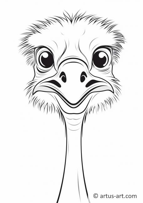 Ostrich Head Coloring Page