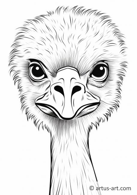 Ostrich Head Coloring Page