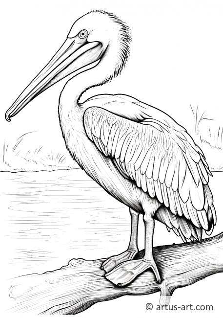 Ausmalbild eines Baby Pelikans