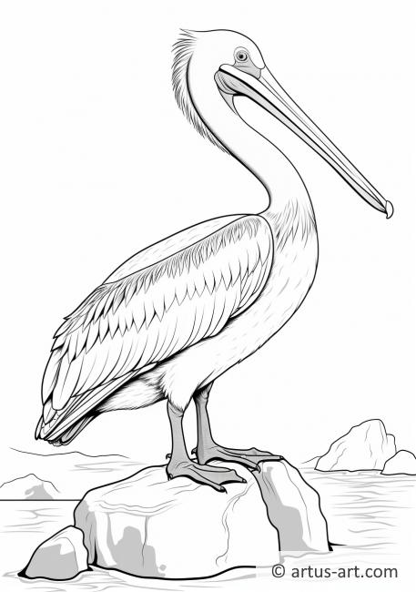 Pelikan, der auf einem Felsen steht Ausmalbild