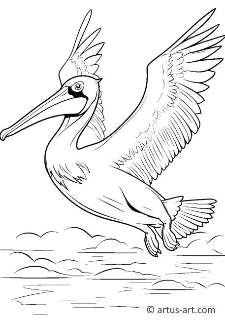 Pelikan mit geöffneten Flügeln Ausmalbild