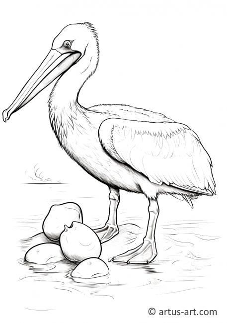 Pelican with a Coconut Coloring Page