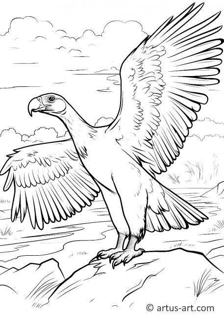 Vulture Landing on the Ground Coloring Page