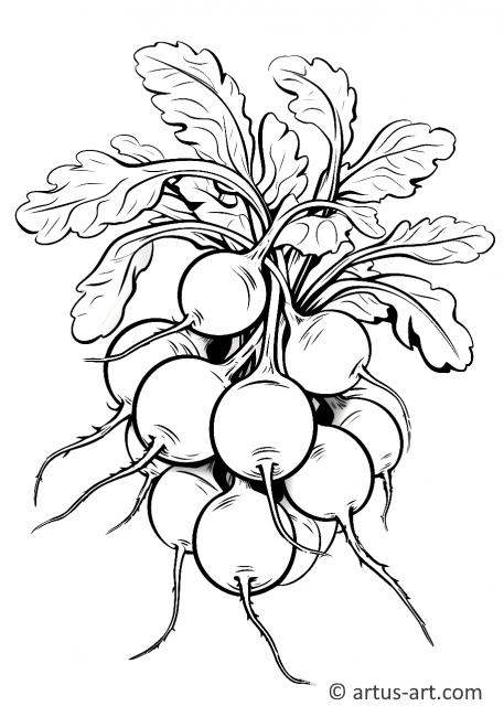 Radish Bunch Coloring Page