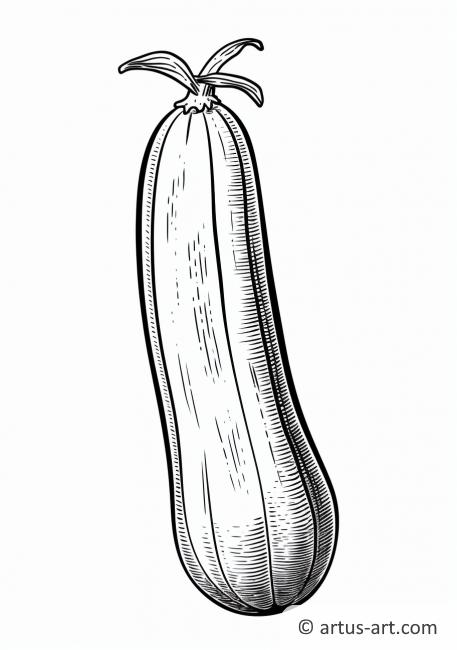 Zucchini Kürbis Ausmalbild