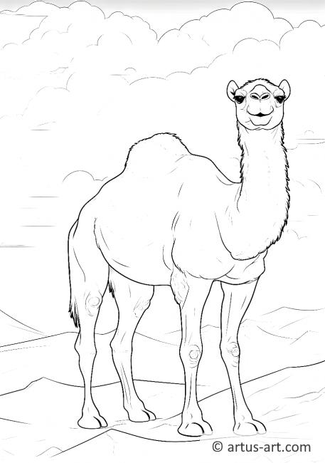 Página para colorir Camelo no Deserto