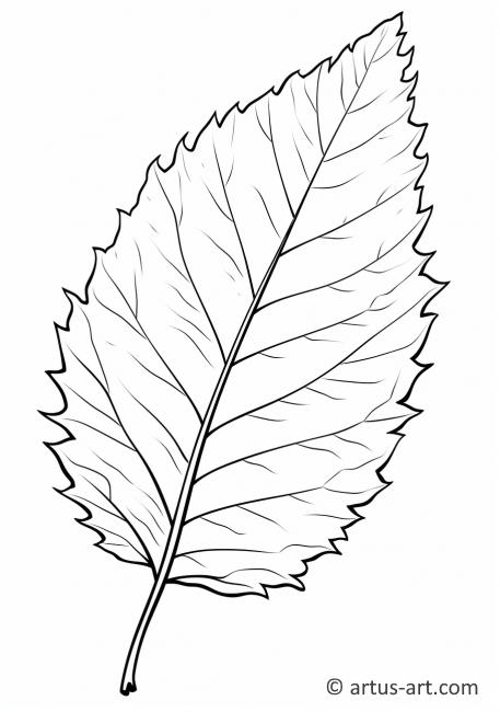 Pagină de colorat cu frunza de mesteacăn