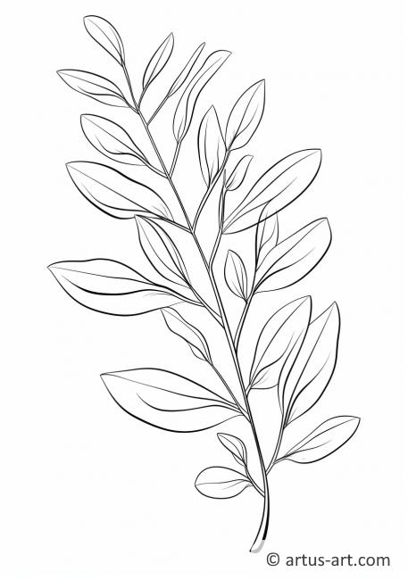 Раскраска листа эвкалипта