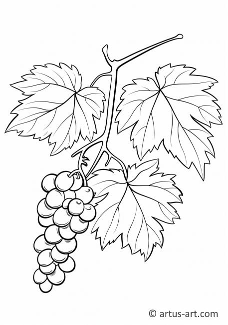 Página para colorear de hoja de uva