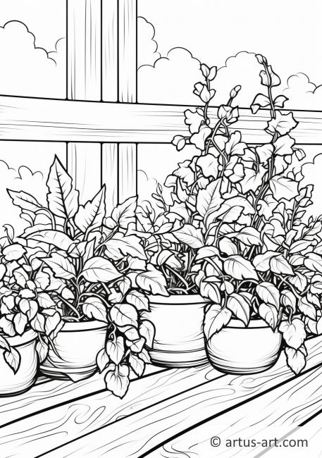 Herb Garden Coloring Page