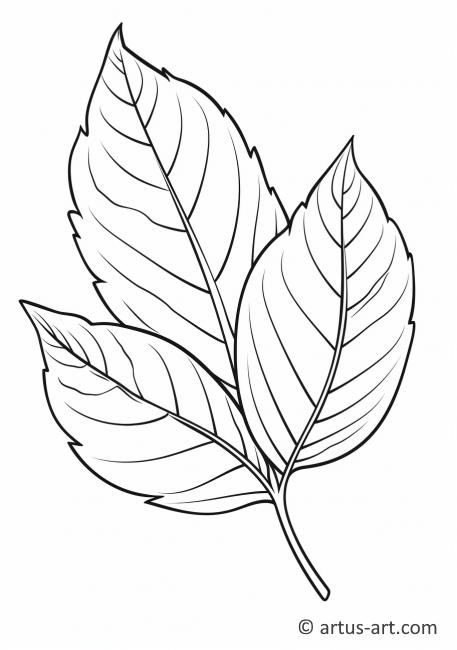Pagină de colorat cu frunza de lime
