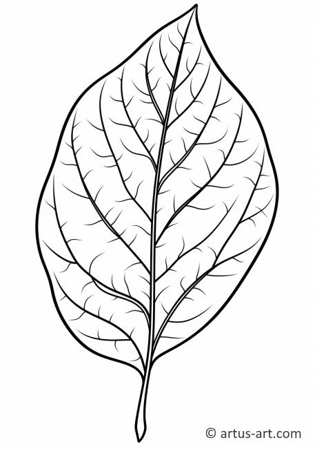 Lime Leaf Coloring Page