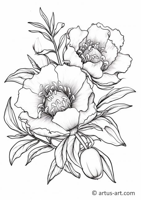 Pomegranate Blossom Coloring Page