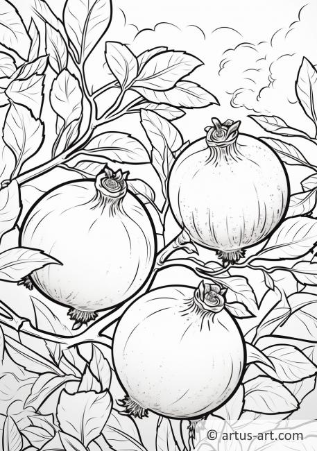 Pomegranate Garden Coloring Page