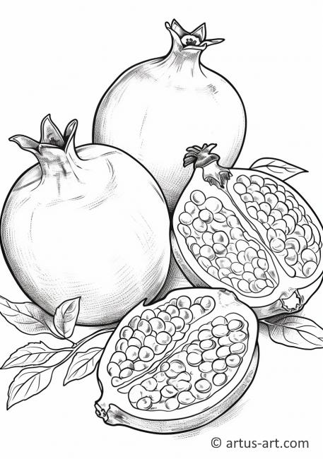 Pomegranate Seeds Coloring Page