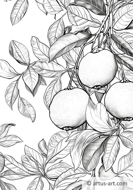 Pagina de colorat Grădina de pomelo