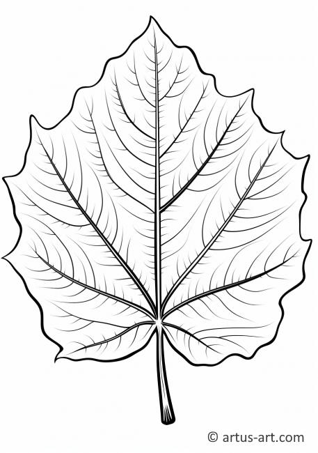 Раскраска листа тополя