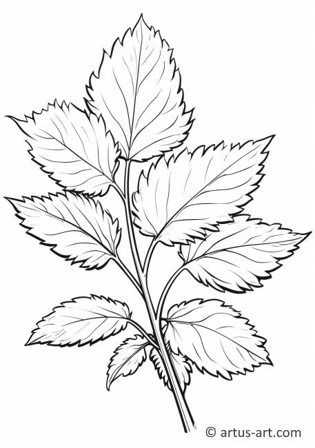 Pagină de colorat cu frunze de zmeură