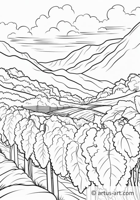 Rolling Vineyards Coloring Page