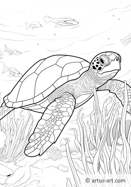 Pagină de colorat cu broaște țestoase de mare