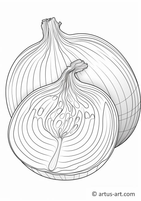 Ausmalbild einer geschnittenen Zwiebel