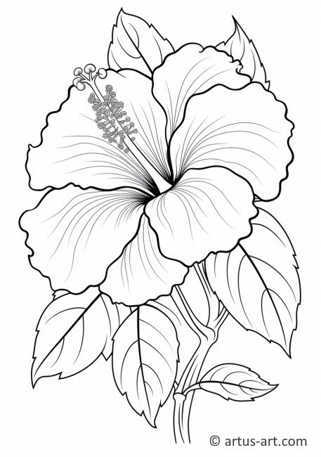 Página para colorir de Flor de Hibisco Tropical