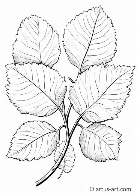 Barvačka listů meruněk