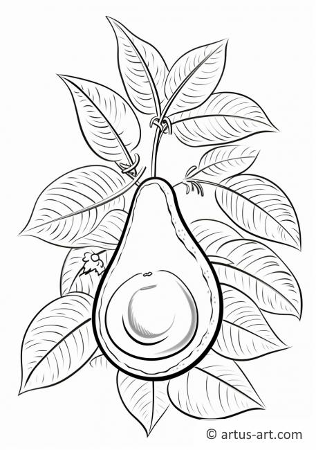 Pagină de colorat cu desen de Avocado