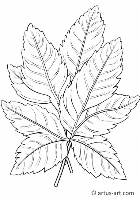 Breadfruit Leaves Coloring Page