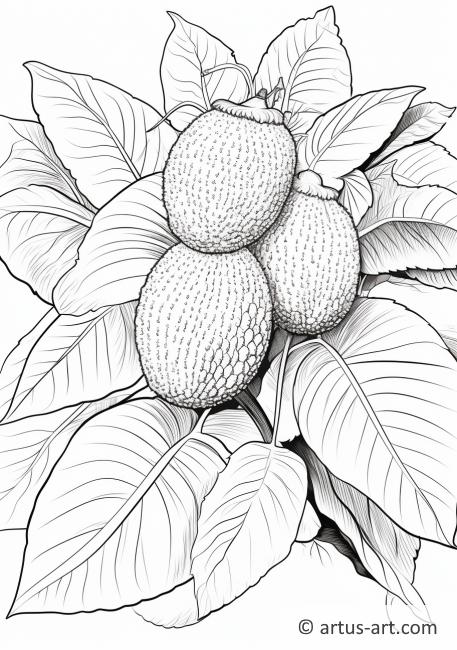 Breadfruit Plant Coloring Page