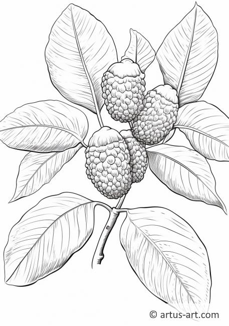 Breadfruit Plant Coloring Page