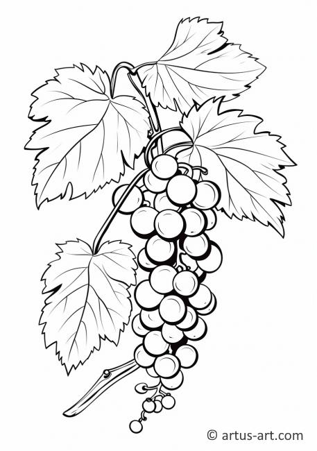 Página para Colorir de Um Montão de Uvas