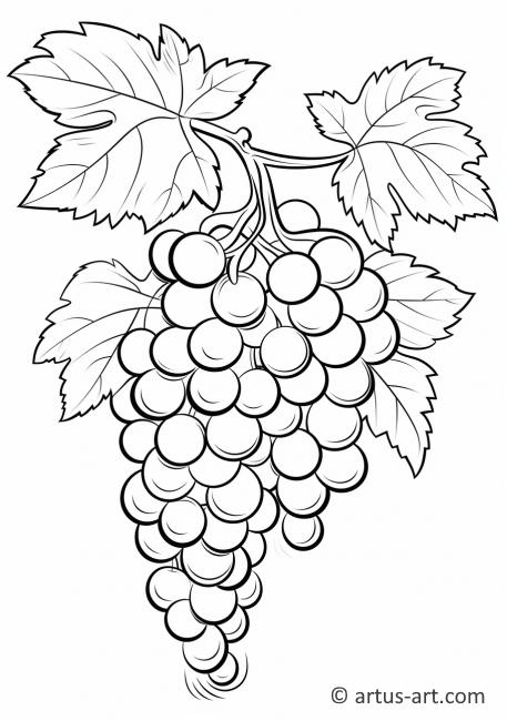Página para colorir de uvas cartoon