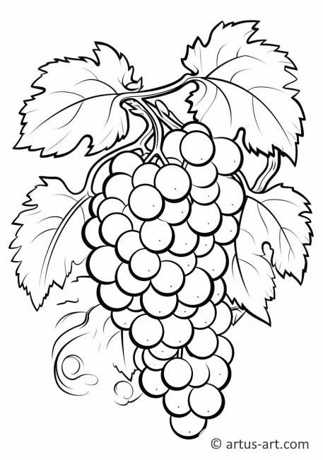 Kolorowanka z rysunkiem winogron