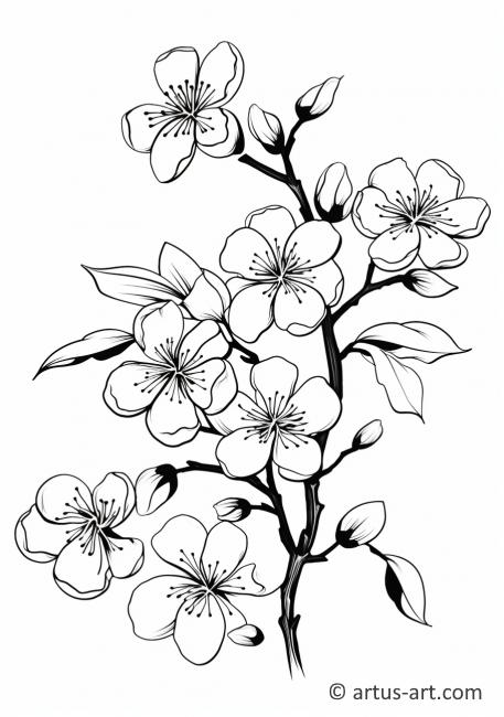 Page de coloriage de branche de cerisier en fleurs