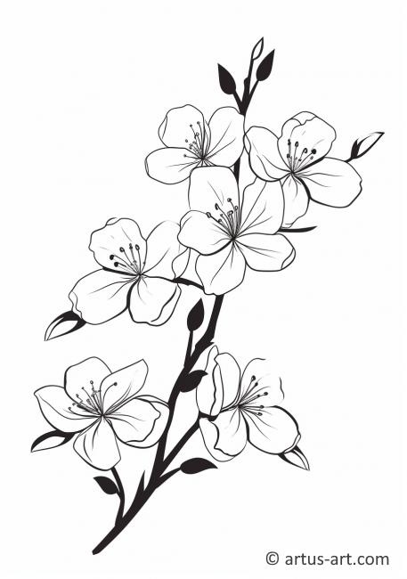 Kiraz Çiçeği Siluet Boyama Sayfası