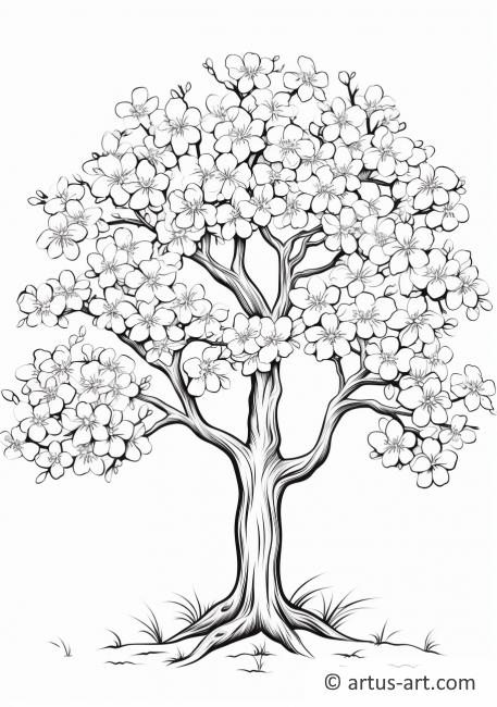 Раскраска дерева с цветущей вишней