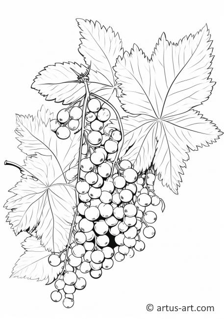 Currant Coloring Page Coloring Page