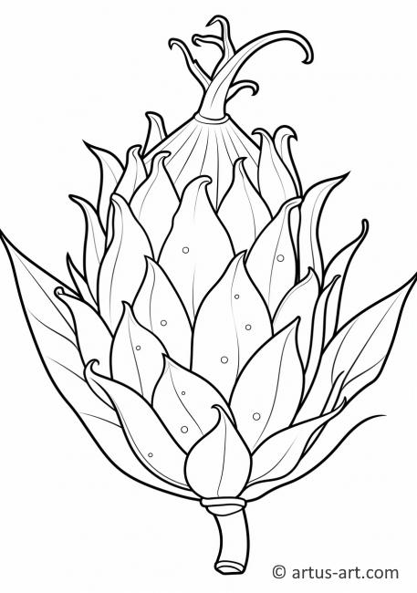 Página para colorear de planta de pitaya