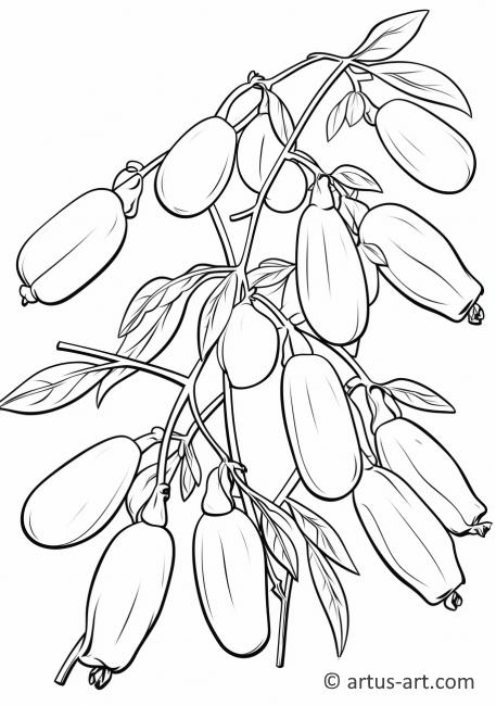 Goji Berry Coloring Page Coloring Page