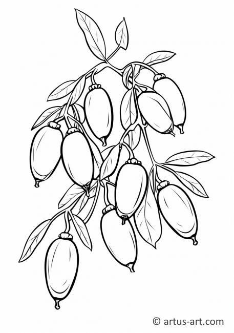 Goji Berry Coloring Page