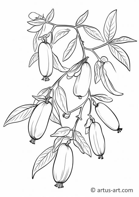 Goji Berry Coloring Page Coloring Page