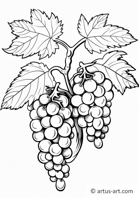 Page de coloriage de grappe de raisin