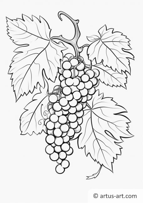 Grape Cluster Coloring Page